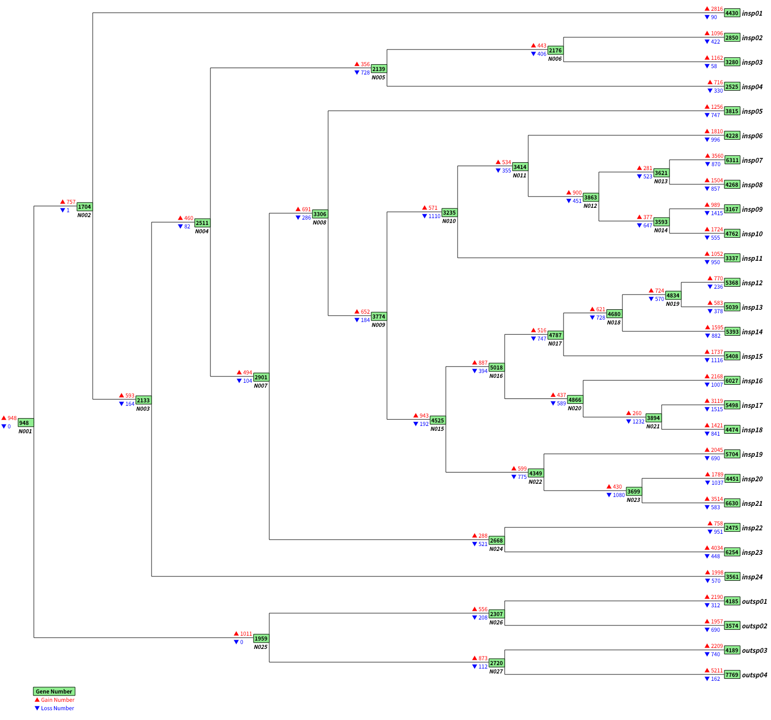 gain_loss_map_plot_03.png