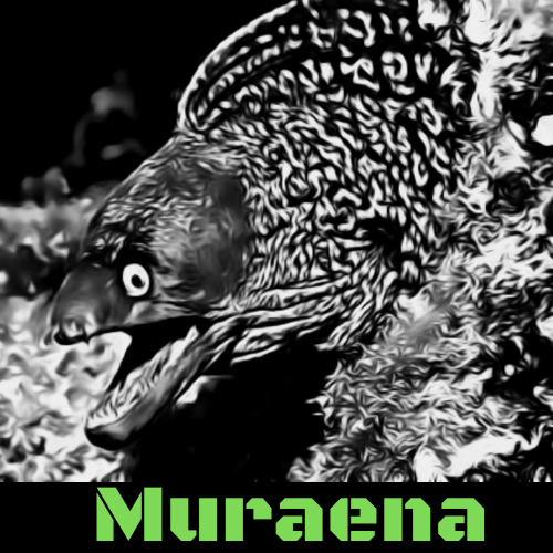 muraena_logo.png