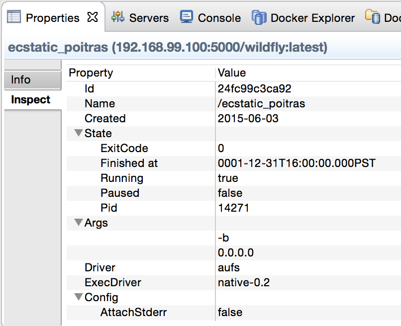 jbds-docker-tools-properties-inspect.png