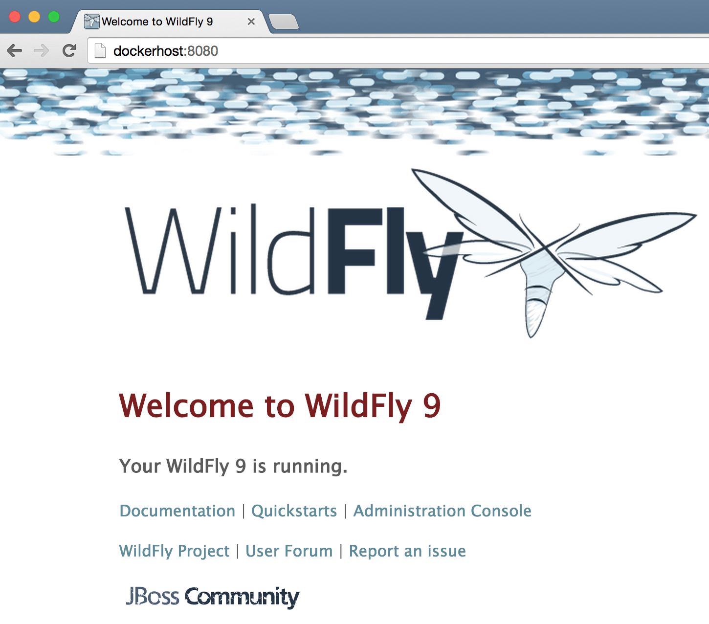 plain-wildfly1.png