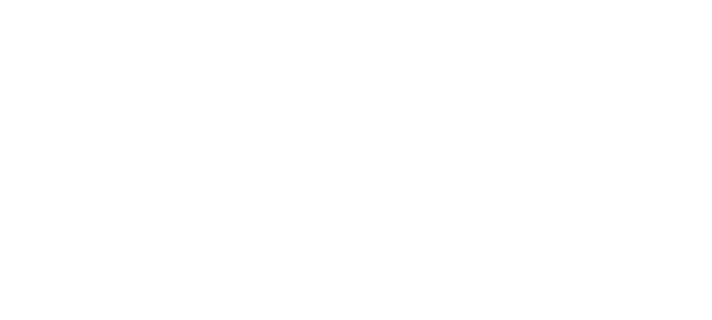 numpylogolight.png