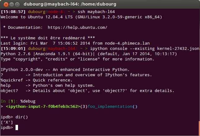 ipython_parallel_function_remote_console.png