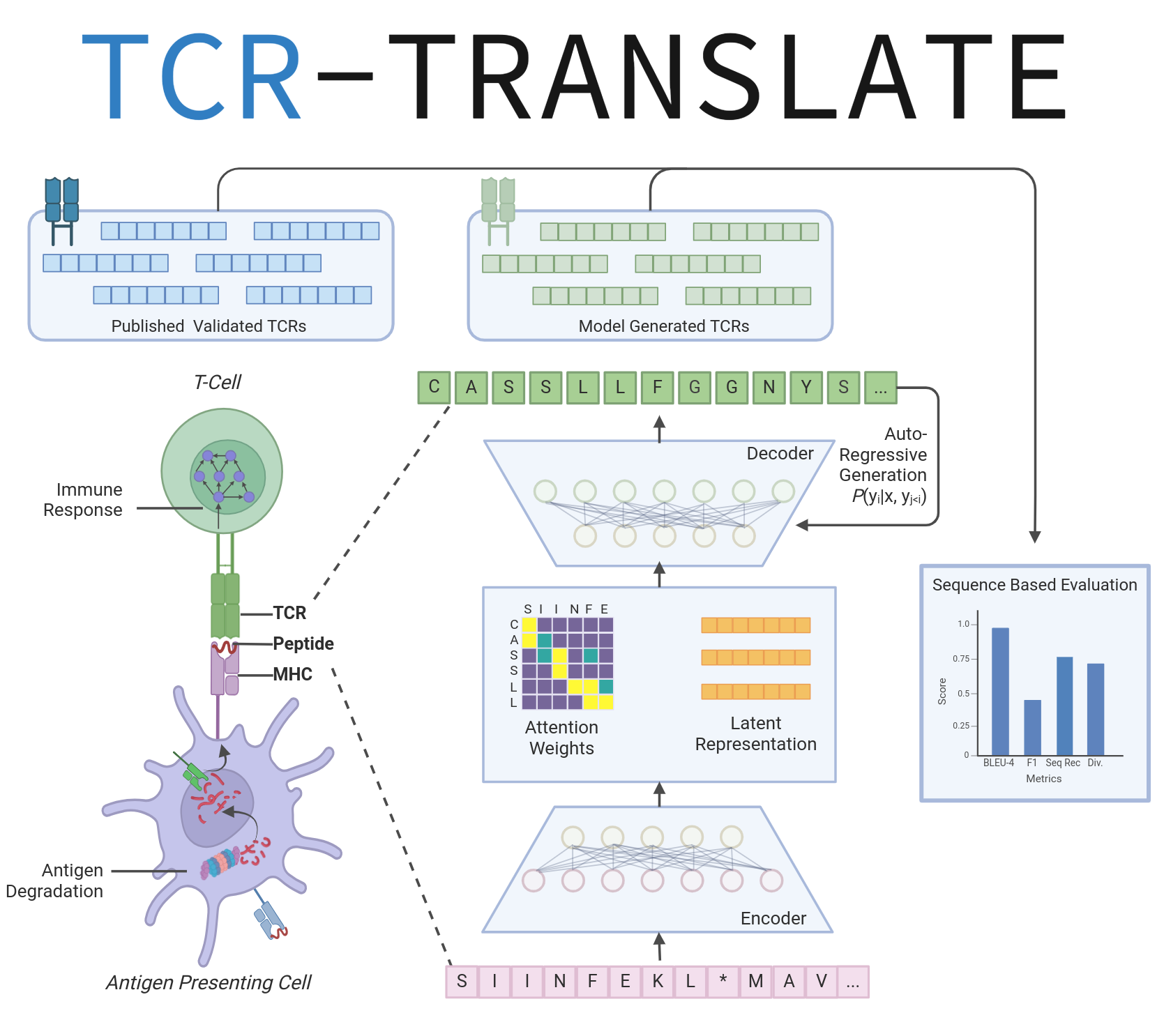 tcr_translate_logo2.png