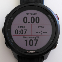 garmin_datafield.jpg