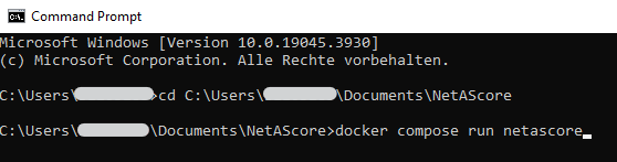 command 'docker compose run netascore' shown in terminal
