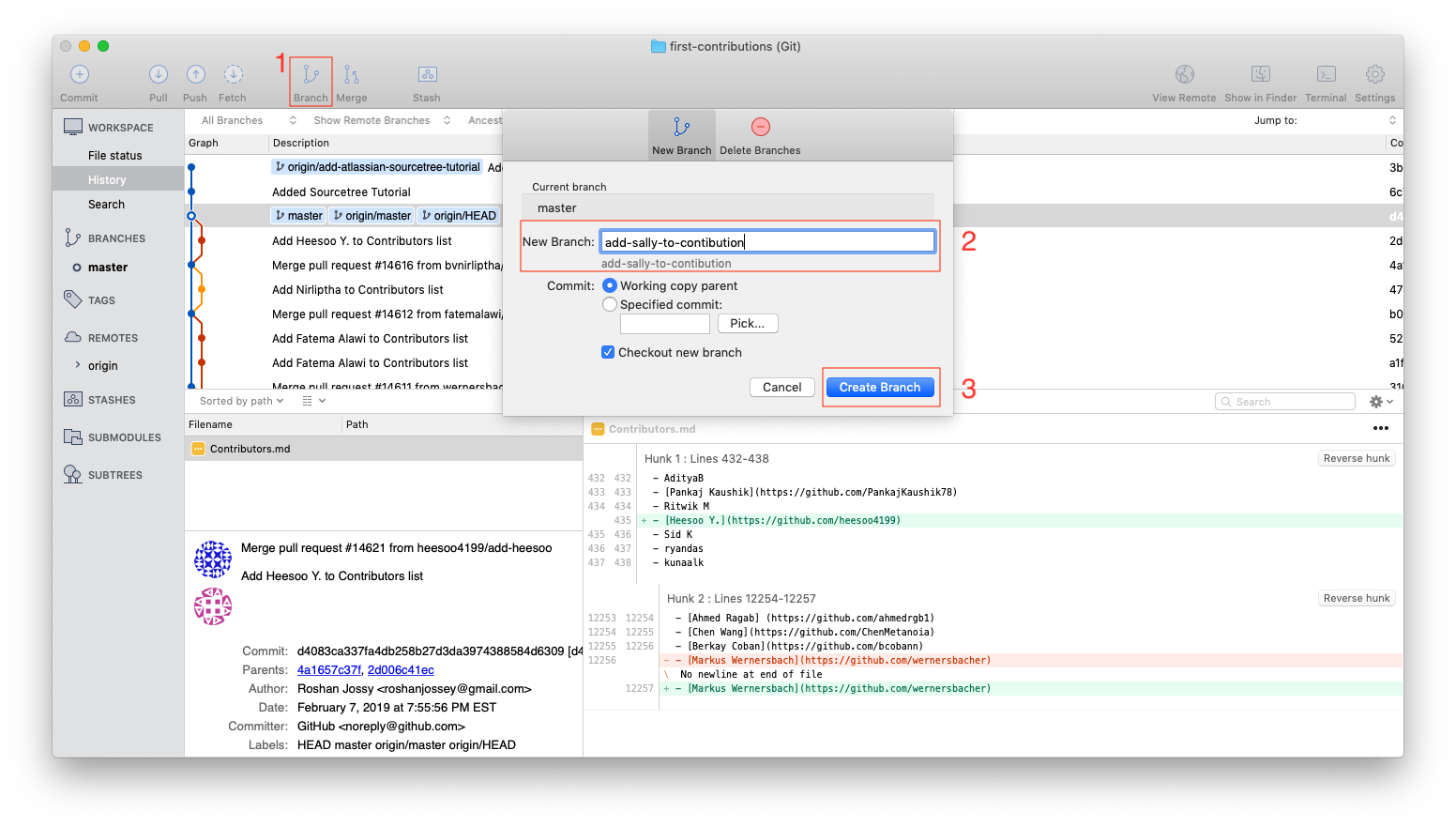 sourcetree-7-branching.png