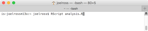rscript-terminal.png
