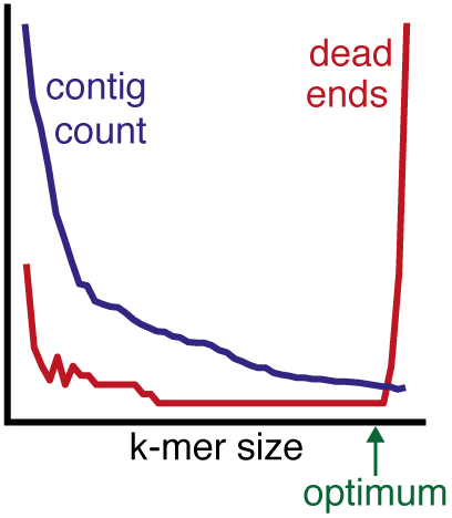 k-mer_plot.png