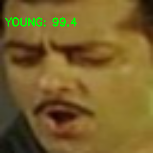 sample_young_image2.png