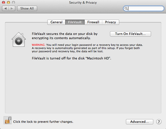 security and privacy - filevault