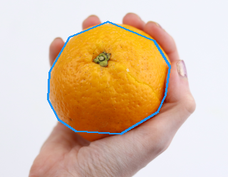 orange_annotated-image.png