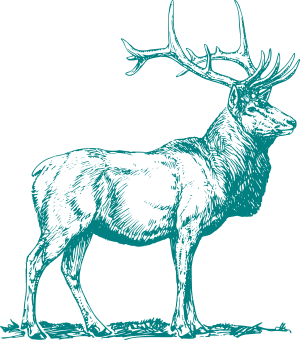 deer.png