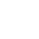 icon_pdf_white.png