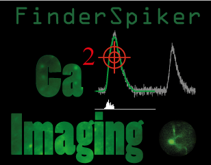 Logo_FinderSpiker.png