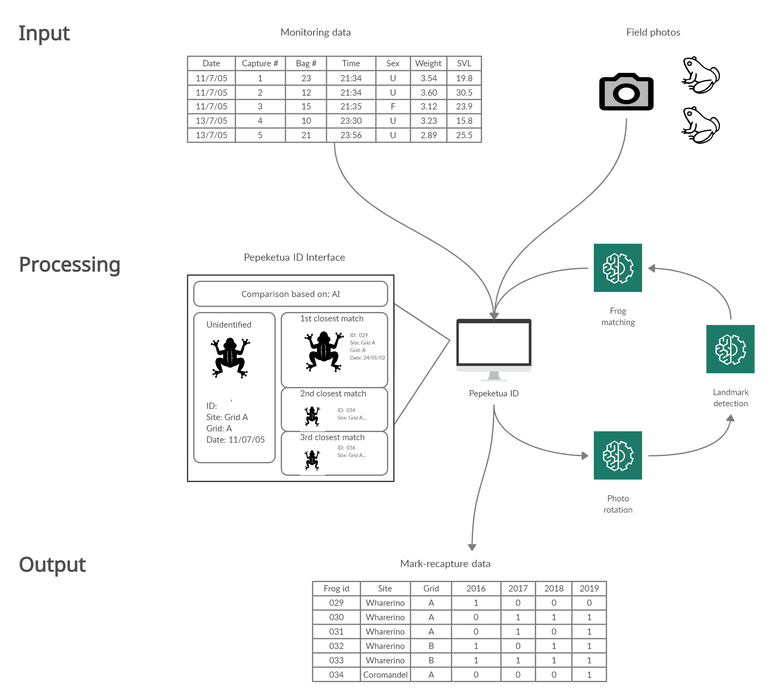 Pepeketua_id_overview.png