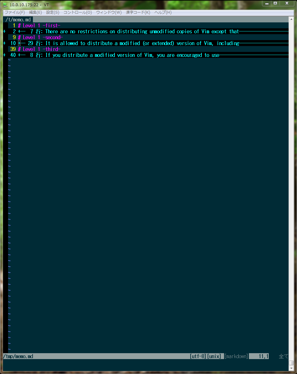 img/vim-markdown1.png