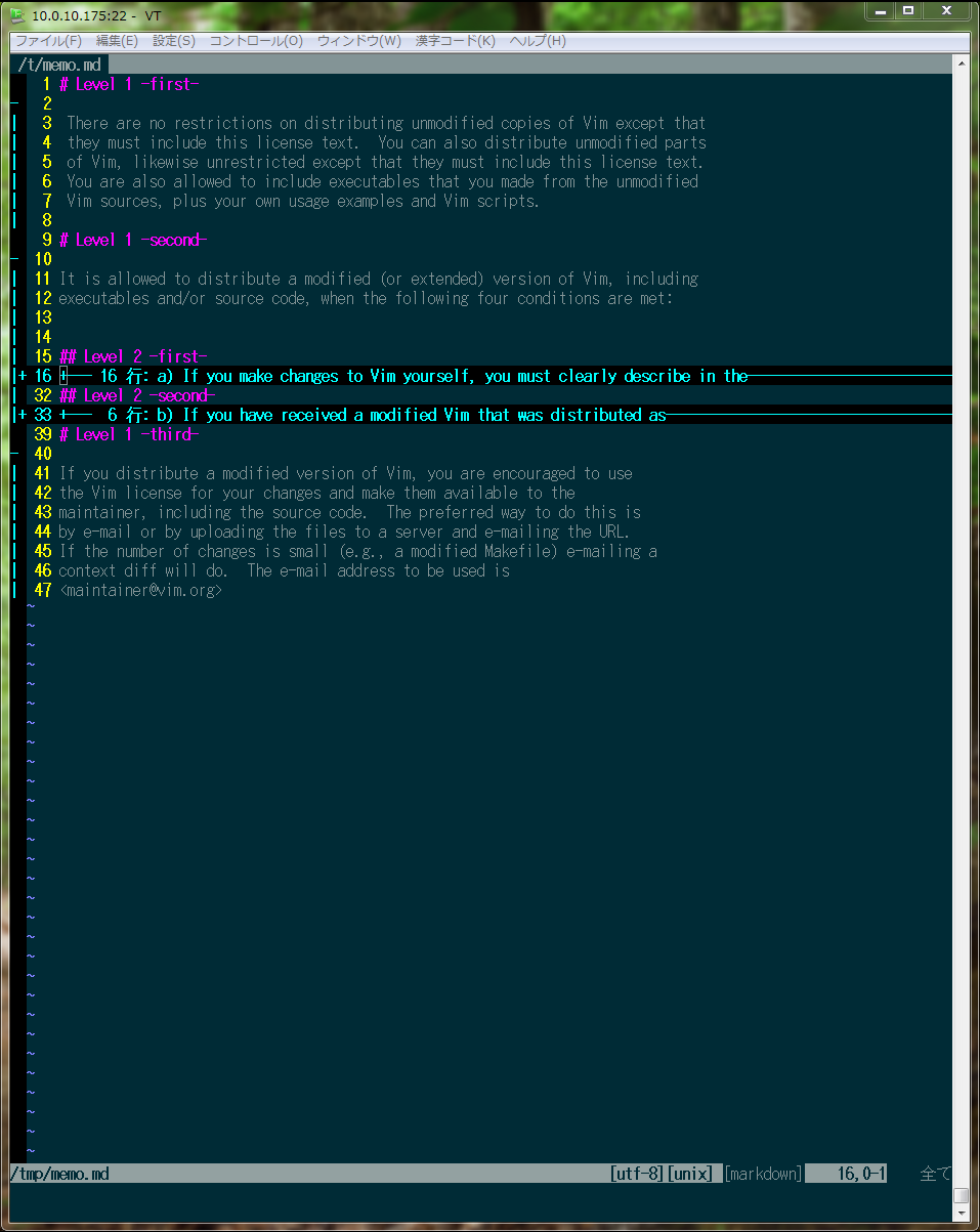 img/vim-markdown2.png